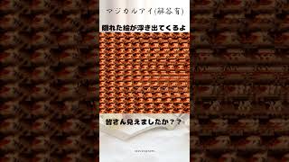 【ステレオグラム】☀マジカルアイ解答集☀みなさん合っていたでしょうか？？shortsステレオグラムstereograms視力回復3D立体視3Dvideoマジカルアイ [upl. by Schweitzer]