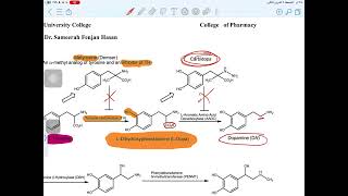 Adrenergic Agent organic pharmacy p1 [upl. by Accever839]