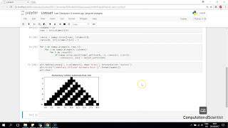 Cellular Automata with Python Jupyter Notebook [upl. by Alyhc]