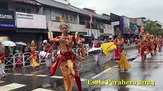 Esala Perahera 2024 7 esalaperahera srilanka kandy [upl. by Ive127]