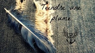 Comment teindre une plume [upl. by Roxie]