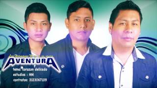 LOS HERMANOS MEZA ▷ corazon delicado Primicia 2016 AUDIO OFICIAL✓ [upl. by Aronas262]