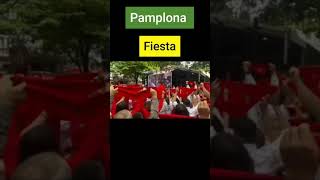 Pamplonas famous festival Sanfermin  Fiesta de Sanfermin en PamplonaSpain [upl. by Yennor]