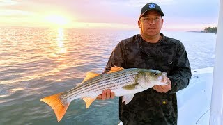 Nanticoke Rockfishing with Rob  June 2017  Fishing Nanticoke River [upl. by Danielle39]