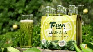 TASSONI SODA CEDRATA 19862021  Pubblicità anni8090200020102020 HD1080p60 [upl. by Mochun474]