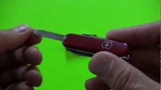 Knife Review Victorinox Cavalier Swiss Army Knife [upl. by Llennol]