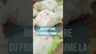 Comment on fait du fromage [upl. by Yboj121]