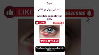 Stye pronounciation amp means in Urdu amp Hindiaankh k papootay pr gilty means in English h2sev [upl. by Mia]