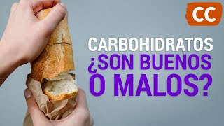 ¿Son los Carbohidratos Buenos o Malos  Ciencia de la Comida [upl. by Washko142]