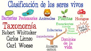 🌿5 Reinos y 3 Dominios de la Vida🐠  Clasificación de los seres vivos Fácil y Rápido  BIOLOGÍA [upl. by Tilly]