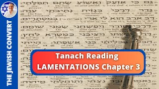 Lamentations Chapter 3  Tanach Reading in Hebrew with English Translation  BIBLE STUDY [upl. by Mossolb349]