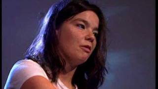 Bjork  INTERVIEW 1993 [upl. by Siulegroj]