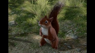 The Dark Urge Meets a Squirrel  Baldurs Gate 3 [upl. by Brest25]