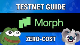 Morph  Potential airdrop  Testnet guide [upl. by Dorcy]