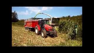 Silagem de Milho 2015 Braga  Portugal  Claas Jaguar 870 Corn Silage [upl. by Valenta468]