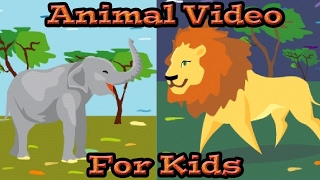 Animals for KIDS  Learn Animal Sounds  Kids Learning Videos [upl. by Jamaal]