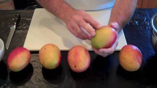 WHEN IS IT RIPE MANGOS [upl. by Natek]