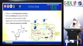 Simposium 3 part 1 Optimal Use of Agents For Hepatitis B Safety and Efficacy Of Entecavir [upl. by Gilmore271]