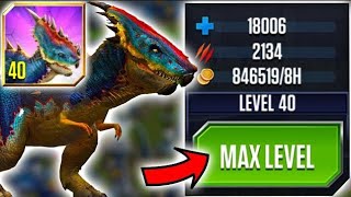 Jurassic world the game Pachygalosaurus  Best tanker of all time [upl. by Scribner]