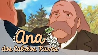 Ana dos Cabelos Ruivos  Episódio 1  A grande surpresa [upl. by Lindgren658]