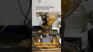 🍊Fresh Orange Juice  Cold Press Commercial Slow Juicer Machine [upl. by Phelips921]