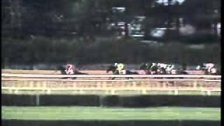 Easy Goer  1989 Belmont Stakes [upl. by Assed]