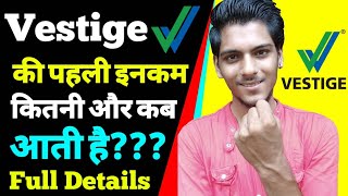 वेस्टीज में पहली इनकम कितनी आती है Vestige first month income  vestige business plan in hindi [upl. by Dorman]