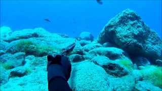 spearfishing Gomera Canary islands [upl. by Namyl]