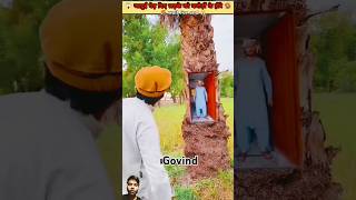 Jadui ped tree story amazingfacts crazyxyz woodworking trendingshorts youtubeshorts [upl. by Urbain397]