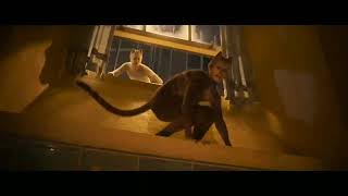 Cats 2019  The Old Gumbie Cat Song  Part 1 [upl. by Nimrak]