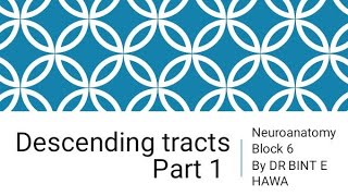 Descending Tracts Part 1  Corticospinal Tract  Neuroanatomy made easy by Dr Bint e Hawa [upl. by Aikahc]