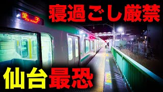 【野宿確定】大都会からわずか25分で絶望へ誘う仙台最恐の終電を乗り通してみた｜終電で終点に行ってみた55 [upl. by Rennoc326]