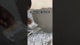 WALL DAMPNESS OR PEELING PAINT SOLUTION explore construction dampproof fyp [upl. by Llemar]