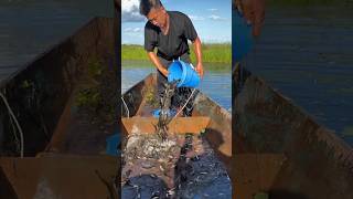 River fishing process fish [upl. by Viafore]