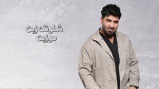 وسام داود  عن حالي  Wissam Dawood  Aan Hali Official Lyric Video 2022 [upl. by Hilbert]