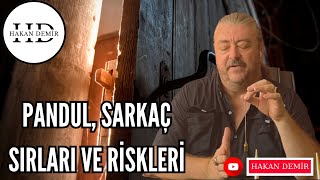 PANDUL  SARKAÇ SIRLARI ve RİSKLERİ [upl. by Christabel533]