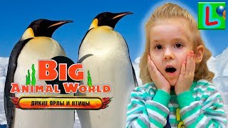 BIG ANIMAL WORLD ДИКИЕ ОРЛЫ И ПТИЦЫ ИМПЕРАТОРСКИЙ ПИНГВИН игрушки как ДЕАГОСТИНИ [upl. by Ytisahcal]