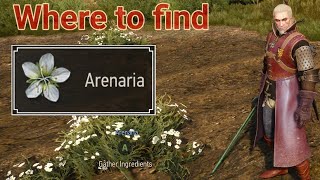 Witcher 3 where to find arenaria [upl. by Ayeki638]