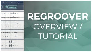 Regroover by Accusonus OverviewTutorial [upl. by Ymmit]