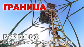 Вишката Картала и вековното дърво над Буйново  Border tower Kartala and the ancient tree Buinovo [upl. by Hashim119]