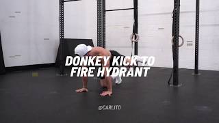 DONKEY KICK TO FIRE HYDRANT  HRDR Exercise Video Library [upl. by Nemrak]