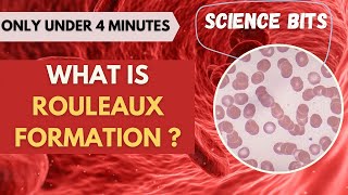 Science Bits What is Rouleaux formation  Under 4 Minutes [upl. by Egief]