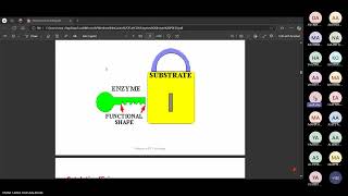 Biochemical basics of enzymes Dr Salah Elsayed [upl. by Tolkan832]