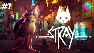 CAT GOT LOST IN THE DEAD CITY  STRAY GAMEPLAY 1 [upl. by Siuqaj]