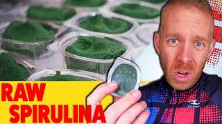 My Honest Experience With Raw Spirulina with Blind Taste Test [upl. by Nosniv211]