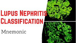 How to remember 6 classes of Lupus Nephritis Mnemonic [upl. by Atinid]