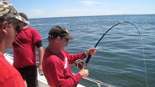 St Andrews Sport Fishing CoIsland Quest Marine  Shark Fishing  810 Porbeagle [upl. by Marek]