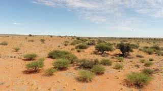 Well developed small farm near Groblershoop Northern Cape [upl. by Ronnholm]