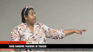 BIRD BANDING TRAINING IN TOBAGO [upl. by Yrok223]