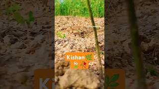 2024whatsapp💫saportkarodosto 🙏🫰 insta reel trending viral kheti🌿 badi💚 youtopsort video [upl. by Paschasia]